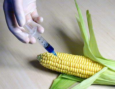 manipulated-corn1