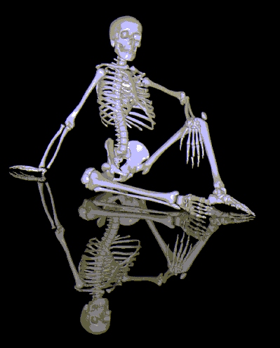 skeleton2